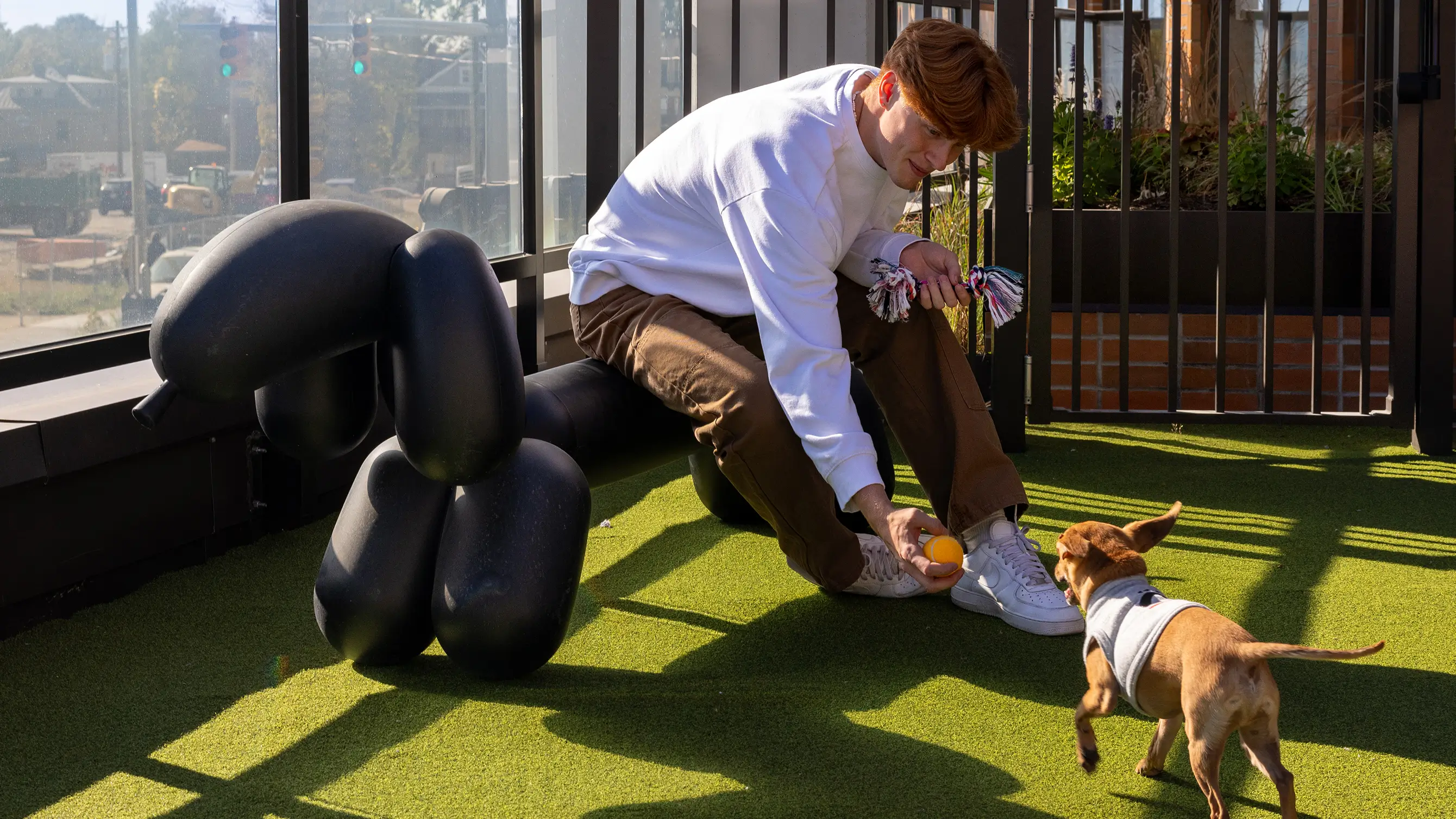 man playing with a dog